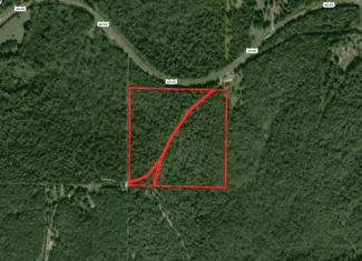40 Acres for Sale in Williford | The Arkansas Ozarks